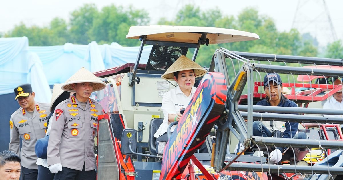 Kapolri-Ketua Komisi IV Pimpin Panen Raya Jagung Serentak, Wujud Nyata Dukung Ketahanan Pangan Nasional