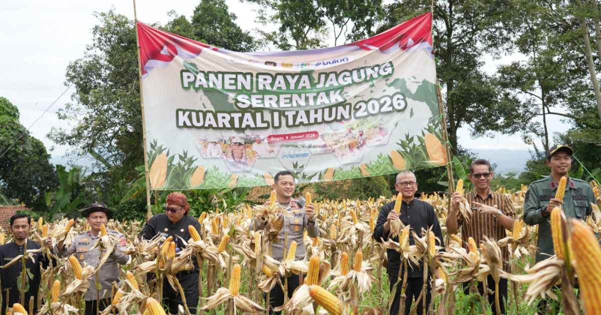 Ikuti Panen Raya Jagung Serentak, Kabupaten Bogor Dukung Penguatan Ketahanan Pangan Nasional