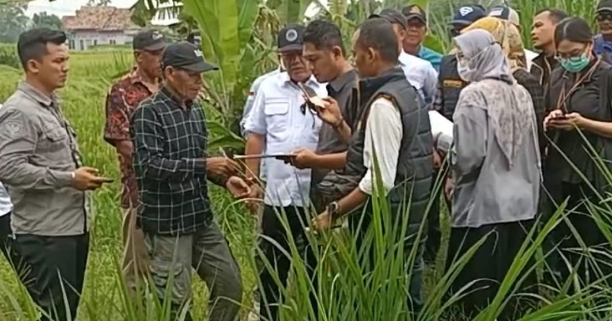 Sidang Pemeriksaan Perkara Tanah Setempat Oleh Hakim PN Kalianda.