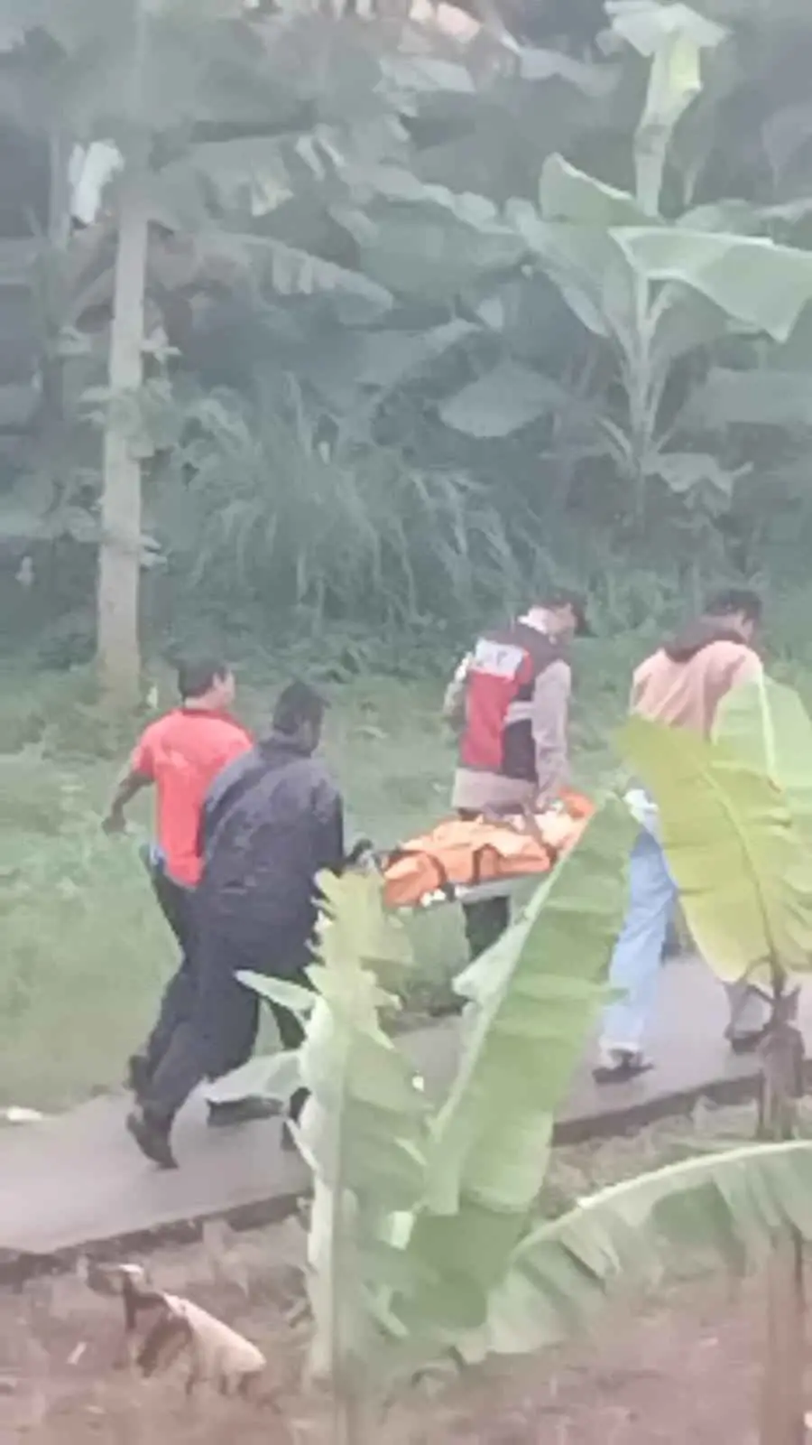 POLSEK CIJERUK BERSAMA INSTANSI TERKAIT CEK LOKASI TKP ADANYA ORANG TERTABRAK KERETA DI WILAYAH CIGOMBONG